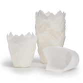 Tulip Papers
