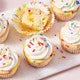 Confetti Cake & Cupcake Mix
