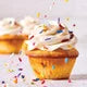 Buttercream Frosting Mix
